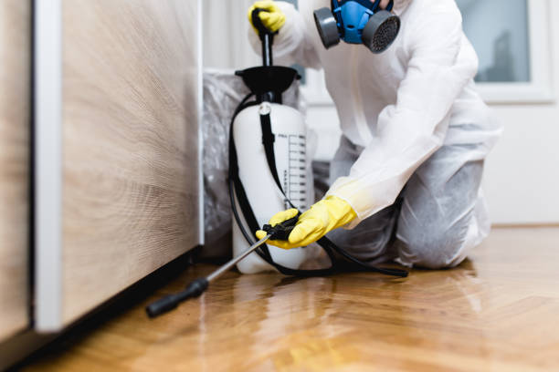 Best Flea Control Services  in Culver City, CA