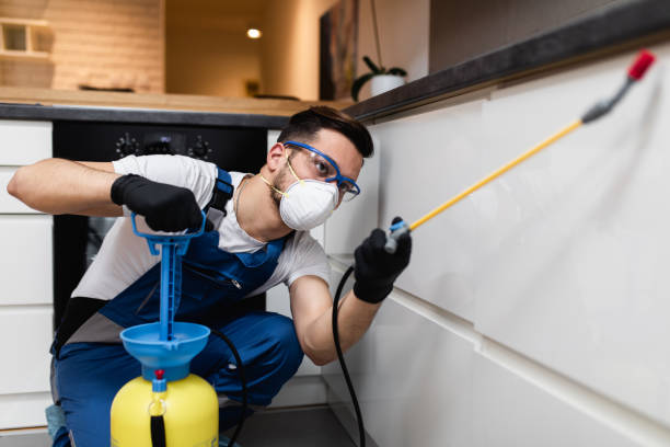 Best Pest Control Near Me  in Culver City, CA