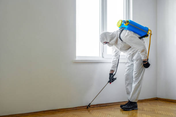 Best Commercial Pest Control Services  in Culver City, CA