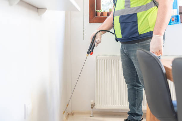 Flea Control Services in Culver City, CA