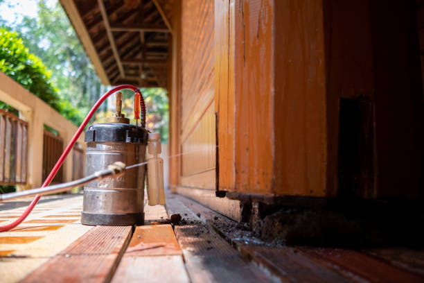 Best Ant Control Services  in Culver City, CA